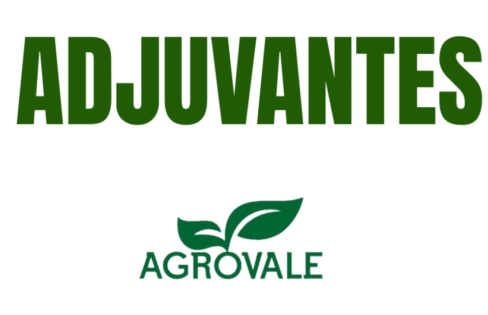 Adjuvantes