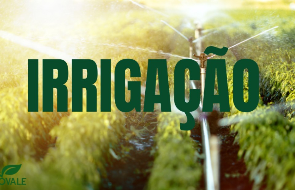 IRRIGAÇÃO