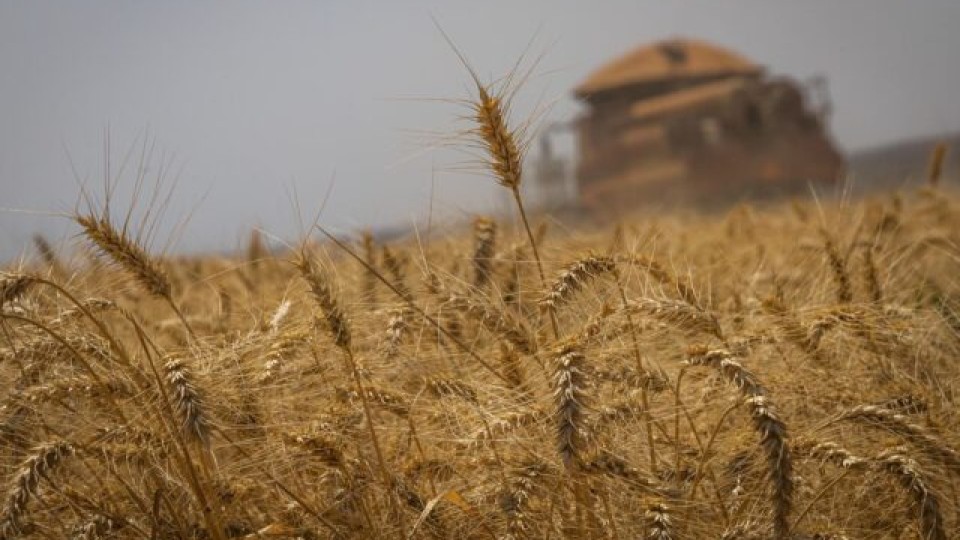 Clima favorável faz Conab estimar produção de grãos em 272,5 mi de toneladas