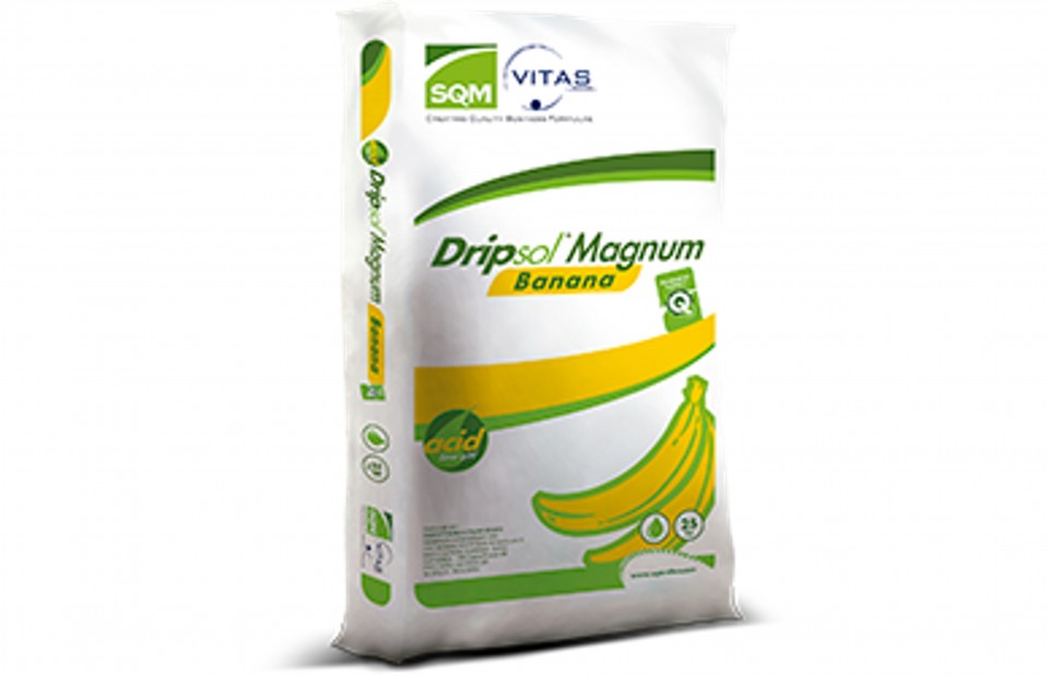 Dripsol Magnum Banana | SQM 