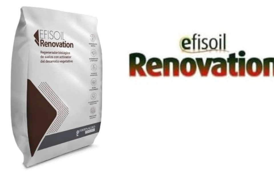 EFISOIL RENOVATION 