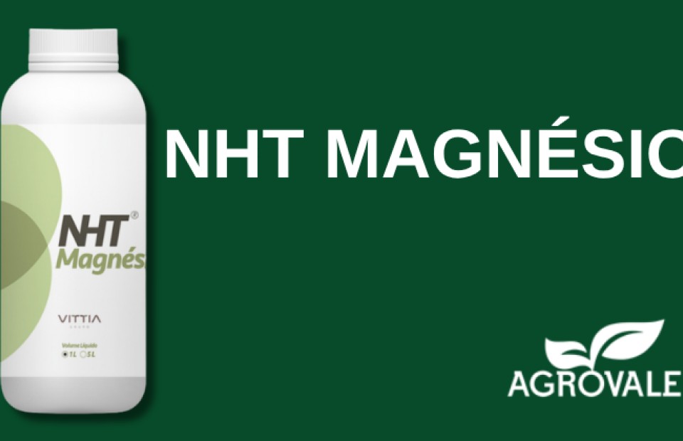 NHT® MAGNÉSIO 