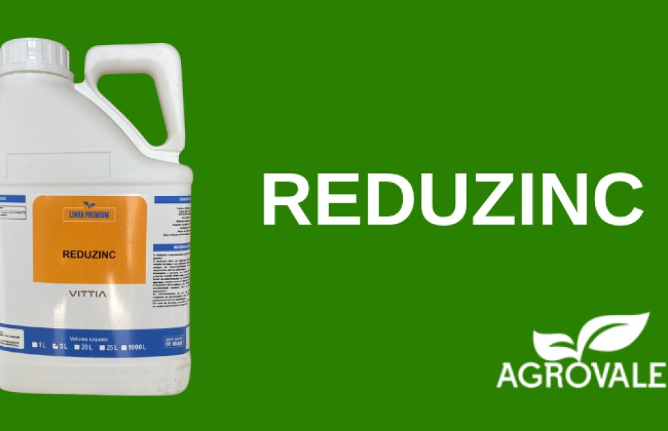 REDUZINC 