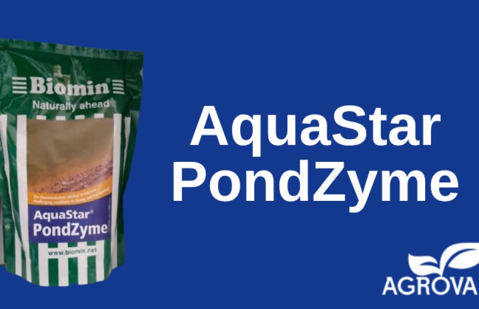 AQUASTAR Pondzyme 