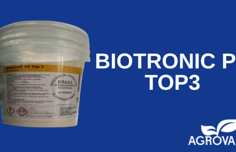 Biotronic® PX Top 3 