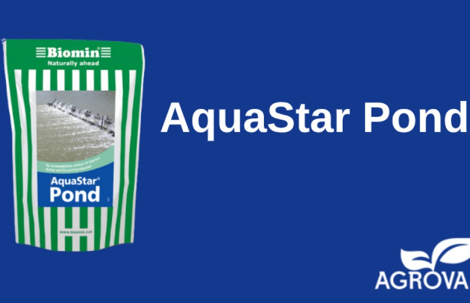 AQUASTAR Pond 