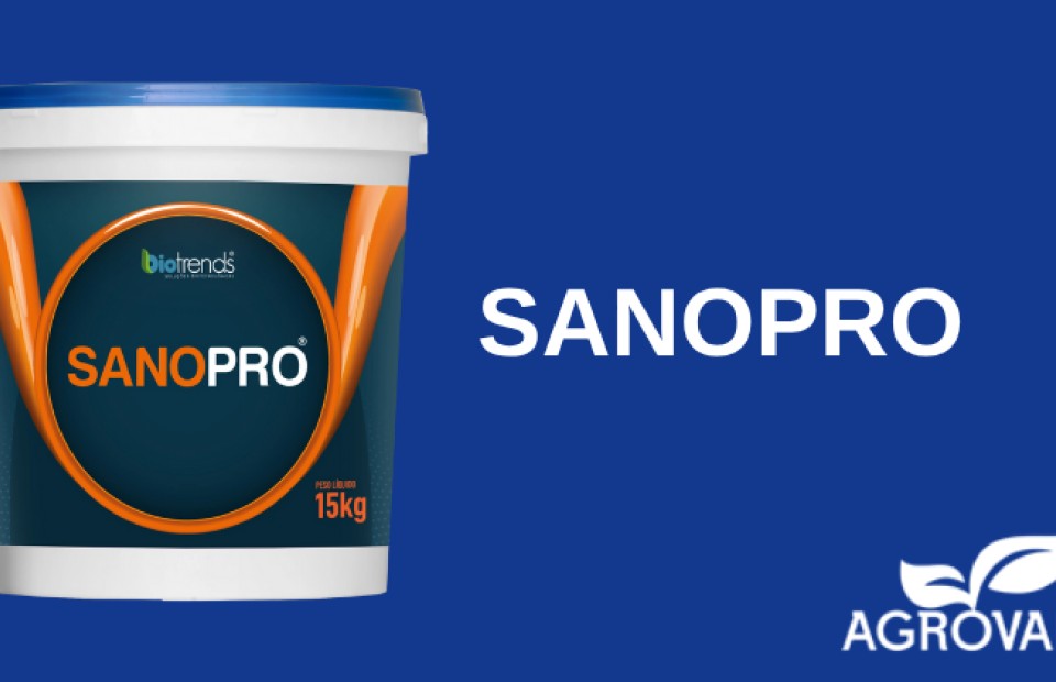 SANOPRO® 